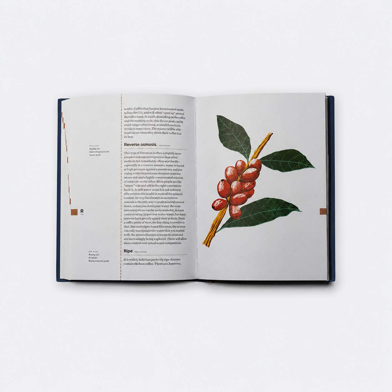 The Coffee Dictionary